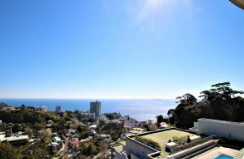 Lavi Atami
